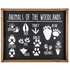 a blackboard with animals of the woodlandss written on it