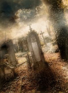 Beautiful Old Cemetery, Cemetery Statues, Cemetery Headstones, Old Cemeteries, Cemetery Art, Sleepy Hollow, Haunted Places, Six Feet Under, Dark Places