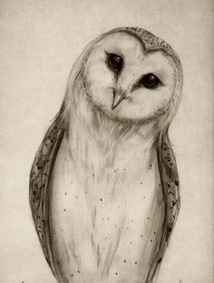 a drawing of an owl is shown in black and white