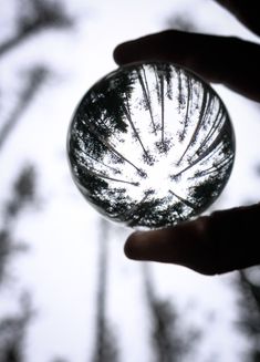 a hand holding a glass ball with trees in the back ground and sky behind it