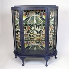 a glass cabinet with many butterflies on the front and sides, sitting against a white background