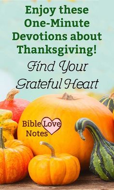 pumpkins and gourds with the words, enjoy these one - minute devitions about thanksgiving find your grateful heart