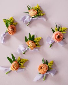 six boutonnieres are arranged on the wall