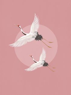 two white birds flying in the air over a pink background with an orange circle around them