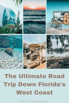 the ultimate road trip down florida's west coast is one of the best things to see