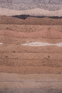 an animal standing on top of a dirt field