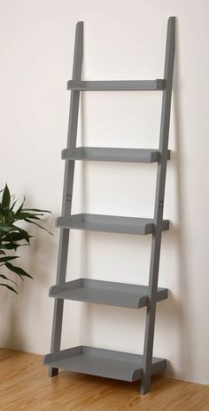 a ladder shelf next to a potted plant on the floor in an empty room