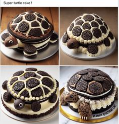 there is a cake made to look like a turtle and cookies on the top one