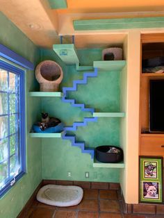 there is a cat bed on top of the stairs in this room with green walls