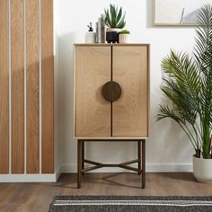 a wooden cabinet sitting next to a potted plant on top of a hard wood floor