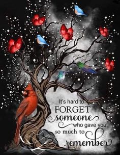 a red bird sitting on top of a tree next to a sign that says, it's hard to forget someone who gave