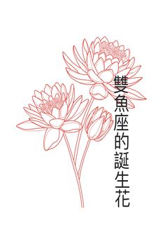 two flowers with chinese writing in the background