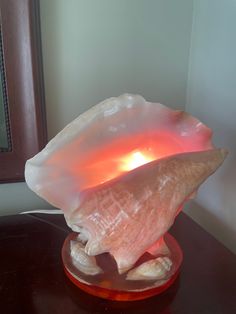 a pink shell on a red base with a light in it