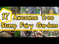 the words 17 awesome tree stump fairy gardens are in front of pictures of trees and plants