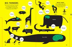 an info board with animals and people on it's sides, including the words big thinkers