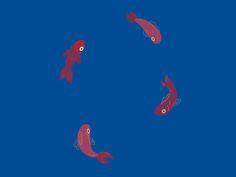 three red fish swimming in the blue water with their tails curled up and eyes wide open