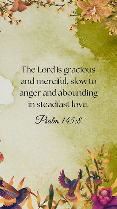 the lord is gracious and merciful, slow to anger and abounding in steadfast love