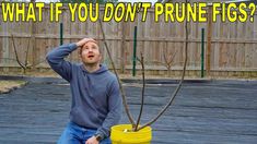 a man standing in front of a tree with the words what if you don't prune figs?