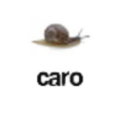 an image of a snail with the word'caro'in front of it