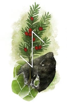 a drawing of a tree growing out of a rock with red berries on the branch