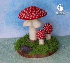 there is a small red and white mushroom on the grass