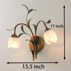 a wall light with three lights on it and measurements for the bulb area in front