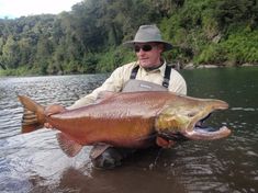 a man holding a large fish in the water