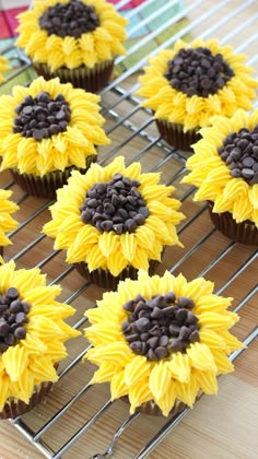 sunflower cupcakes with chocolate frosting on a cooling rack, ready to be eaten