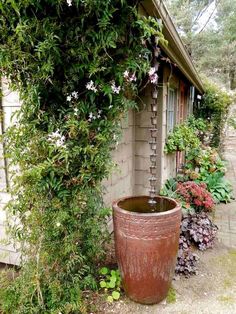 a potted plant next to a building with vines growing on the wall and around it