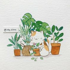 two cats sitting on top of potted plants next to each other