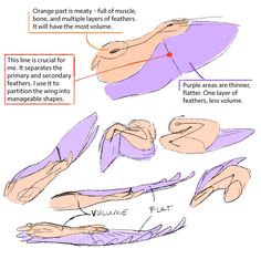 the diagram shows how to draw hands with different shapes and sizes, including one hand