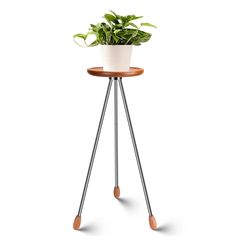 a potted plant sitting on top of a wooden stand