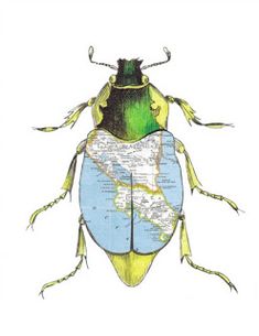 a drawing of a bug on top of a blue and yellow map with green spots