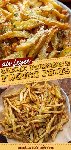 air fryer garlic parmesan french fries on a plate with the title above it