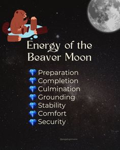 🪄 Embrace the power of the Beaver Moon! This November Full Moon brings energy for abundance, protection, and preparation. Try out grounding rituals, create a cozy winter altar, or focus on what you want to manifest before year’s end! 🌙 #BeaverMoon #NovemberFullMoon #MoonRituals Winter Altar, Setting Intentions