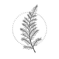 a black and white drawing of a leaf