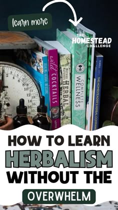 Dive into the world of herbal wisdom with our selection of the 7 Best Books on Herbalism for Beginners! 📚 These must-reads offer a comprehensive yet approachable guide to understanding and using herbs for health and wellness. Perfect for those starting their journey into herbal remedies and natural healing. These books are a treasure trove of knowledge without the overwhelm. #HerbalismBooks #BeginnerHerbalist #NaturalRemedies #HomesteadLearning #HerbalHealing #WellnessReading Learn Herbalism, African Herbs, Herbal Education, Herbal Medicine Recipes, Herbal Remedies Recipes, Herbal Apothecary, Herbal Healing