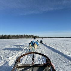 several people riding horses in the snow on a sled