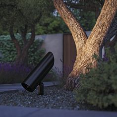 a black object sitting in front of a tree