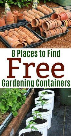 several pots with plants growing out of them and the words 8 places to find free gardening containers