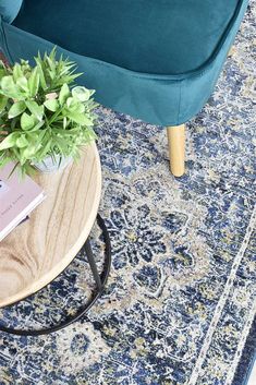 a living room with a blue couch and green plant on the coffee table in front of it