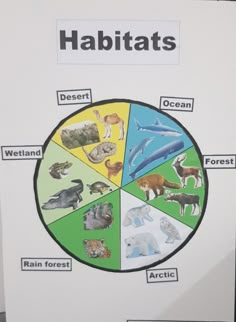 a poster showing the different types of animals and their habitats on it's side