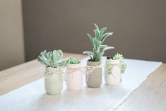 three small vases with succulent plants in them