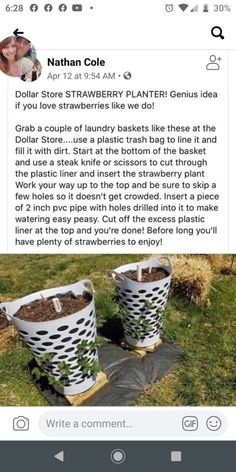 two baskets filled with plants sitting on top of a grass covered field next to each other