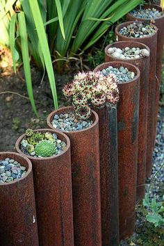 there are many different plants in the planters