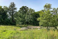 a bench sitting in the middle of a lush green field next to tall grass and trees