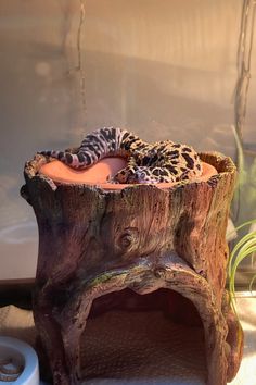 a gecko sitting on top of a tree stump in front of a bathtub