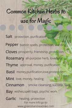 Food Spells, Kitchen Witch Herbs, Herb Magick, Magickal Correspondences, Kitchen Witchcraft, Herbal Witch, Witch Kitchen, Witchcraft Herbs, Beginner Witch