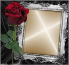 a single red rose sitting in front of a silver frame