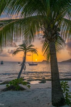 the sun is setting behind two palm trees on the beach with boats in the water